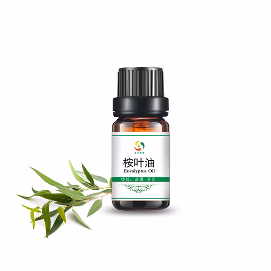 China Wholesale Eucalyptus Aromatic Pure Essential Eucalyptus Oil